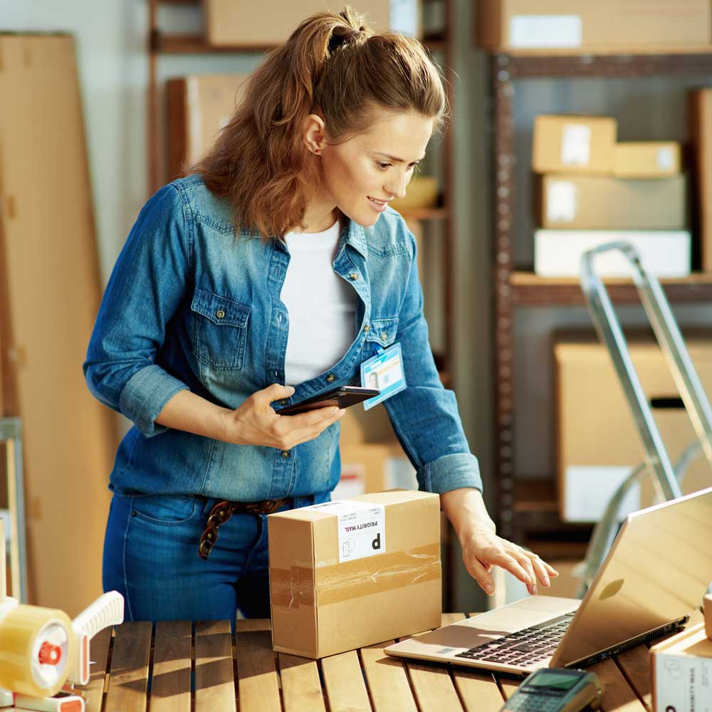 Entwicklung eines Onlineshops mit WordPress zeigt Erfolg